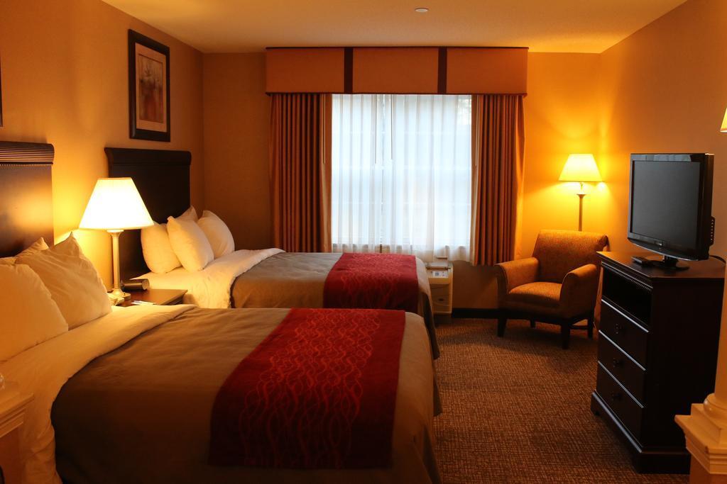Comfort & Scarborough-portland Hotel 2*